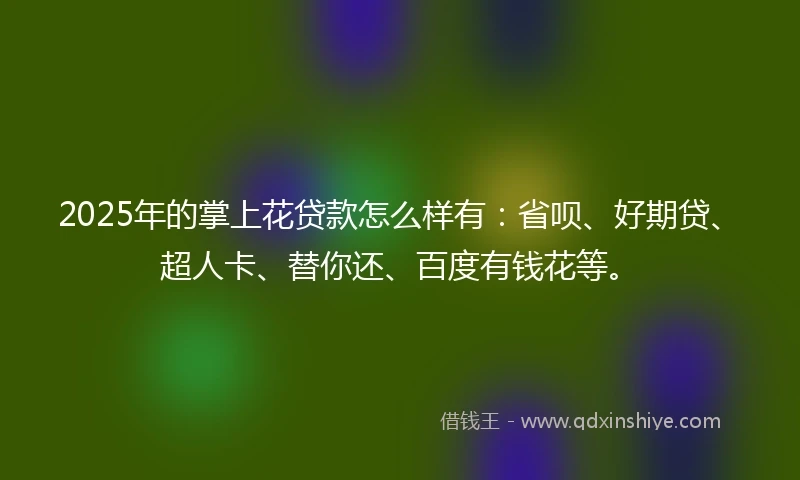 2025年的掌上花贷款怎么样有：省呗、好期贷、超人卡、替你还、百度有钱花等。