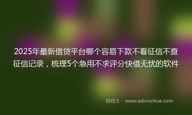 2025年最新借贷平台哪个容易下款不看征信不查征信记录，梳理5个急用不求评分快借无忧的软件