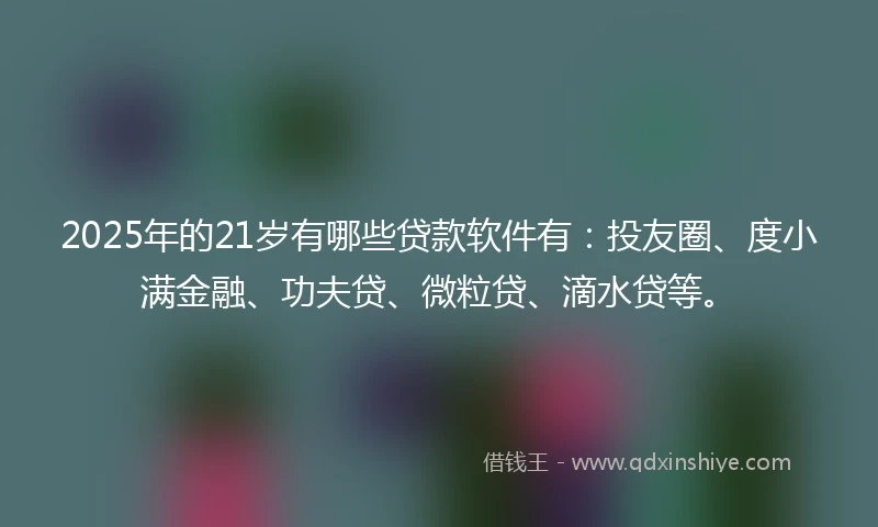 2025年的21岁有哪些贷款软件有：投友圈、度小满金融、功夫贷、微粒贷、滴水贷等。