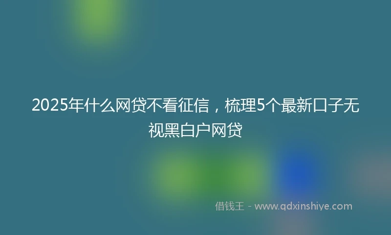 2025年什么网贷不看征信，梳理5个最新口子无视黑白户网贷