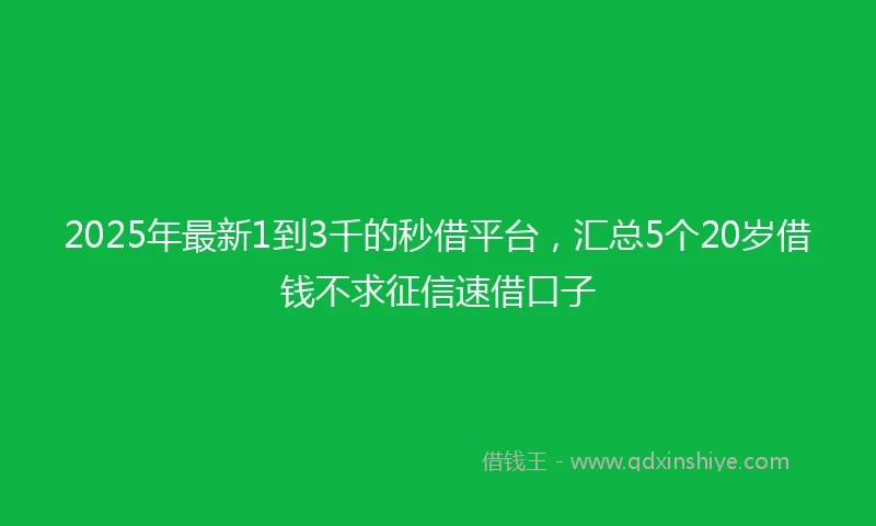 2025年最新1到3千的秒借平台，汇总5个20岁借钱不求征信速借口子