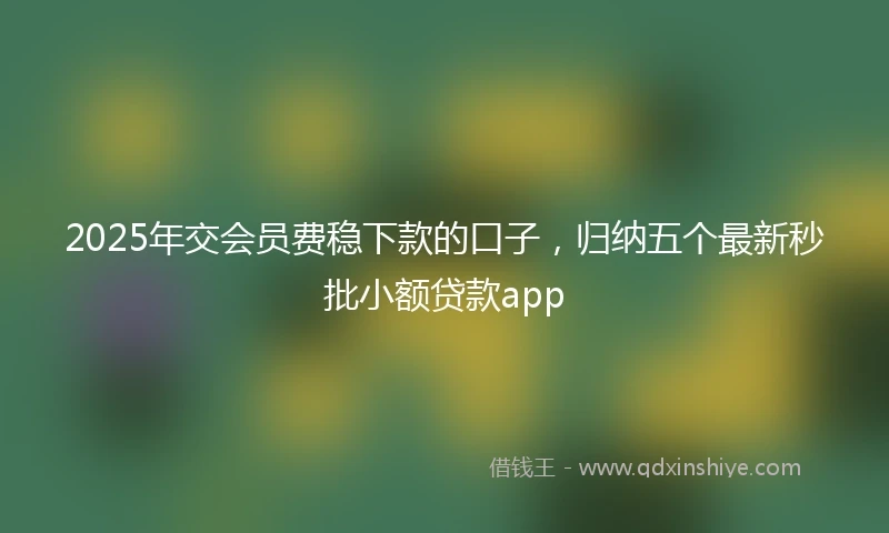 2025年交会员费稳下款的口子，归纳五个最新秒批小额贷款app