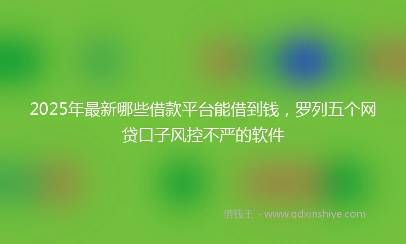 2025年最新哪些借款平台能借到钱，罗列五个网贷口子风控不严的软件