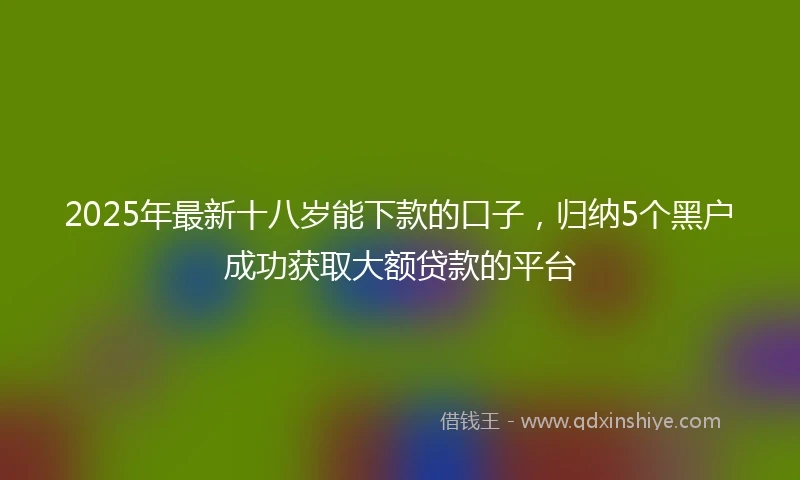 2025年最新十八岁能下款的口子，归纳5个黑户成功获取大额贷款的平台