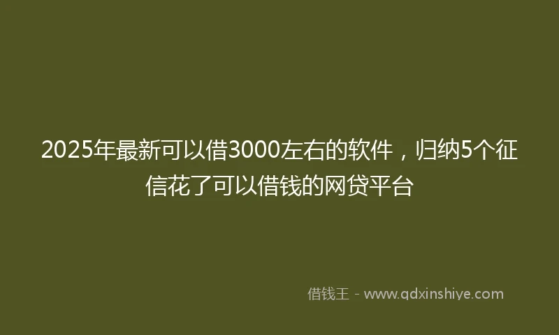 2025年最新可以借3000左右的软件，归纳5个征信花了可以借钱的网贷平台