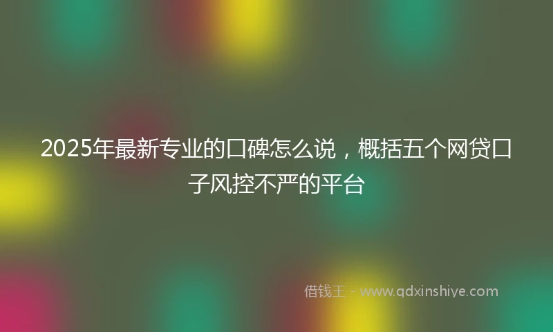 2025年最新专业的口碑怎么说，概括五个网贷口子风控不严的平台