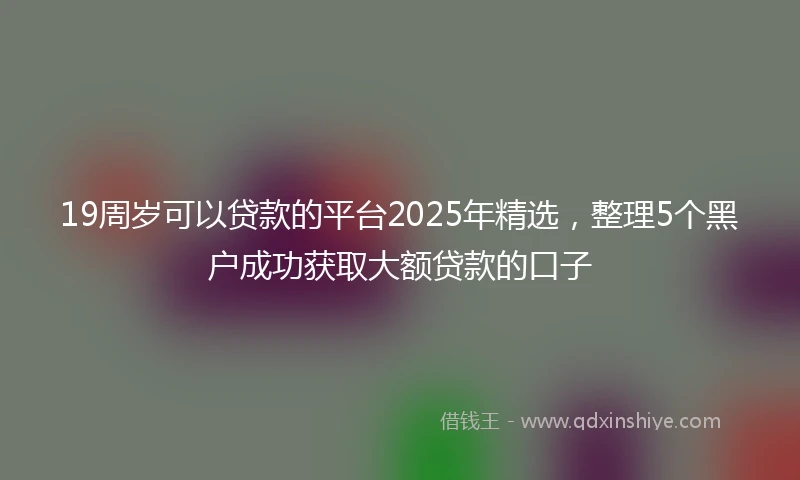 19周岁可以贷款的平台2025年精选，整理5个黑户成功获取大额贷款的口子