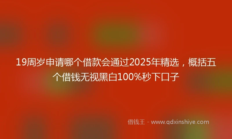 19周岁申请哪个借款会通过2025年精选，概括五个借钱无视黑白100%秒下口子