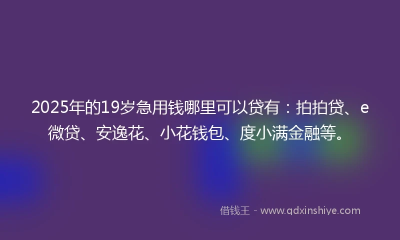 2025年的19岁急用钱哪里可以贷有：拍拍贷、e微贷、安逸花、小花钱包、度小满金融等。