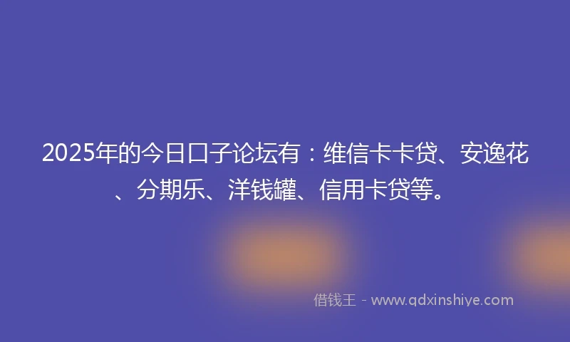 2025年的今日口子论坛有：维信卡卡贷、安逸花、分期乐、洋钱罐、信用卡贷等。