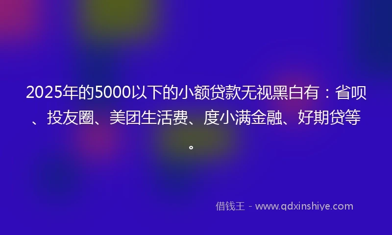 2025年的5000以下的小额贷款无视黑白有：省呗、投友圈、美团生活费、度小满金融、好期贷等。