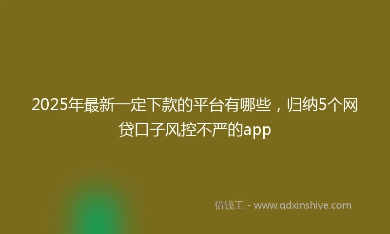 2025年最新一定下款的平台有哪些，归纳5个网贷口子风控不严的app