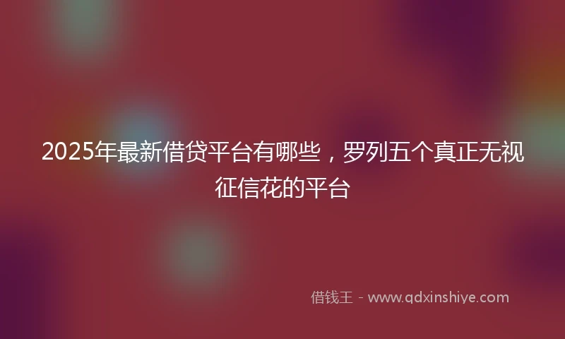 2025年最新借贷平台有哪些，罗列五个真正无视征信花的平台