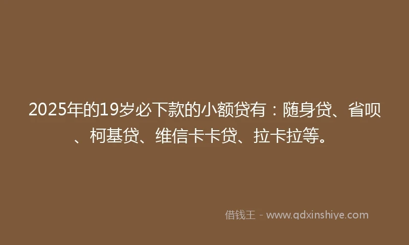 2025年的19岁必下款的小额贷有：随身贷、省呗、柯基贷、维信卡卡贷、拉卡拉等。