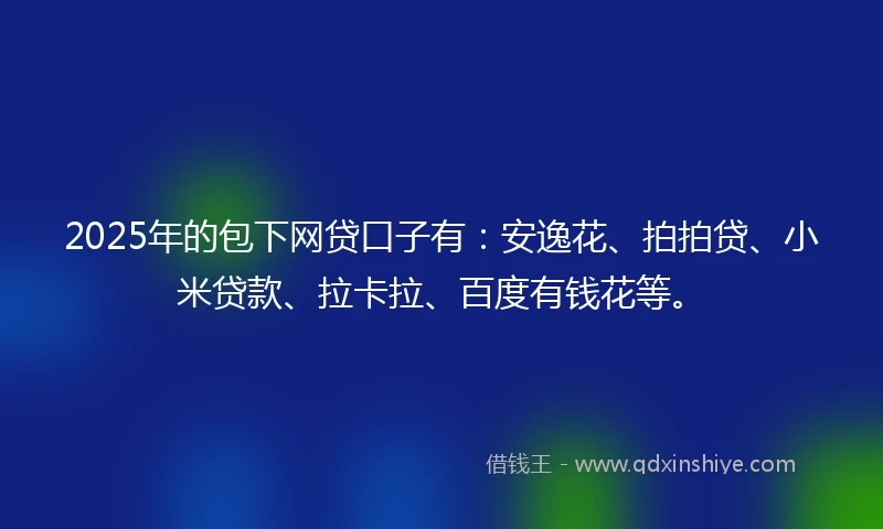 2025年的包下网贷口子有：安逸花、拍拍贷、小米贷款、拉卡拉、百度有钱花等。