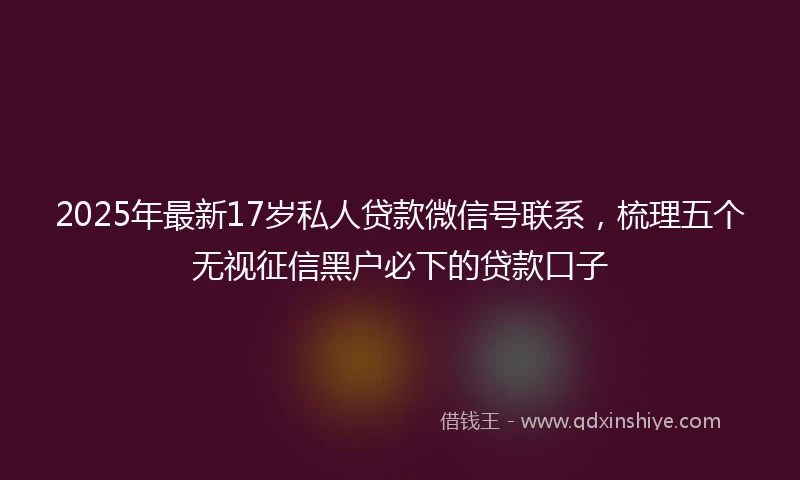 2025年最新17岁私人贷款微信号联系，梳理五个无视征信黑户必下的贷款口子