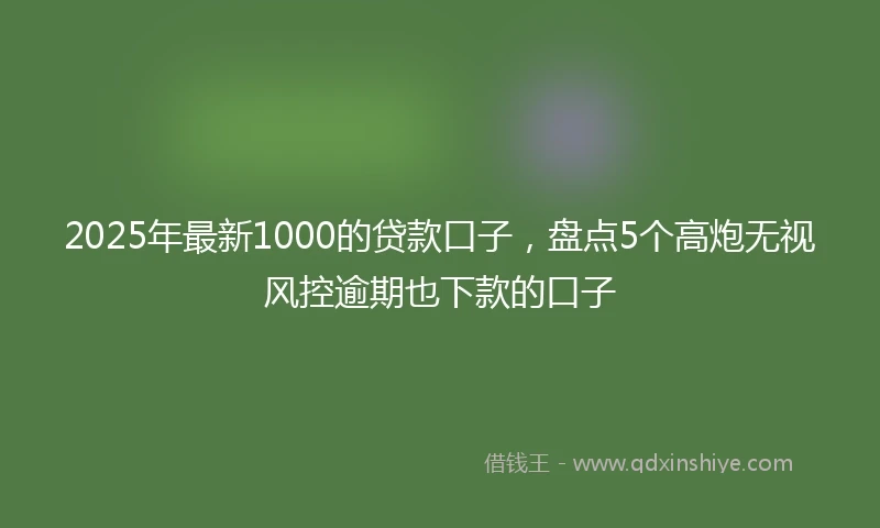 2025年最新1000的贷款口子，盘点5个高炮无视风控逾期也下款的口子