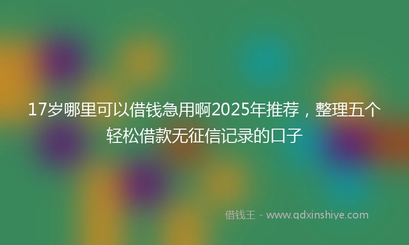 17岁哪里可以借钱急用啊2025年推荐，整理五个轻松借款无征信记录的口子