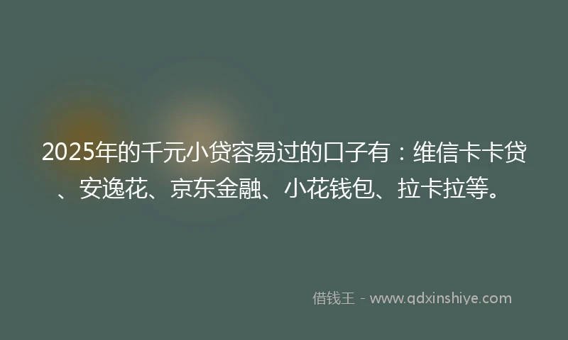 2025年的千元小贷容易过的口子有：维信卡卡贷、安逸花、京东金融、小花钱包、拉卡拉等。