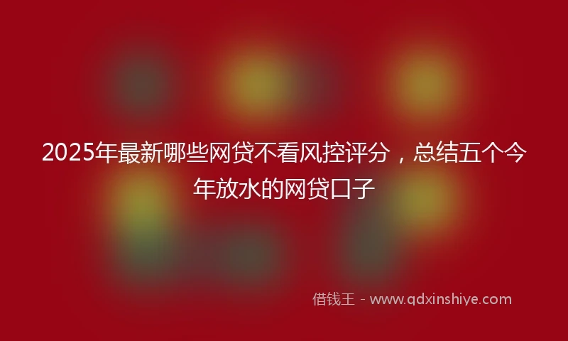 2025年最新哪些网贷不看风控评分，总结五个今年放水的网贷口子