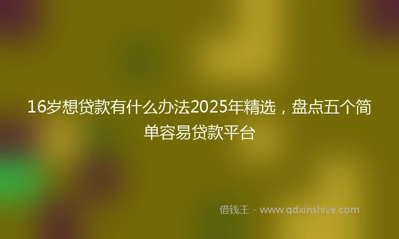 16岁想贷款有什么办法2025年精选，盘点五个简单容易贷款平台