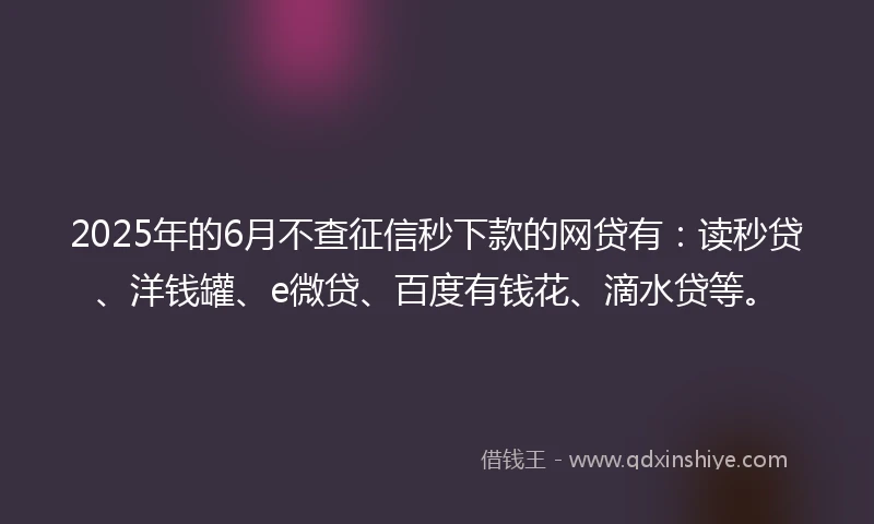 2025年的6月不查征信秒下款的网贷有：读秒贷、洋钱罐、e微贷、百度有钱花、滴水贷等。