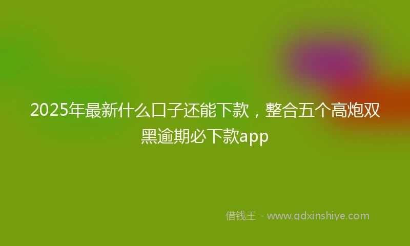 2025年最新什么口子还能下款，整合五个高炮双黑逾期必下款app