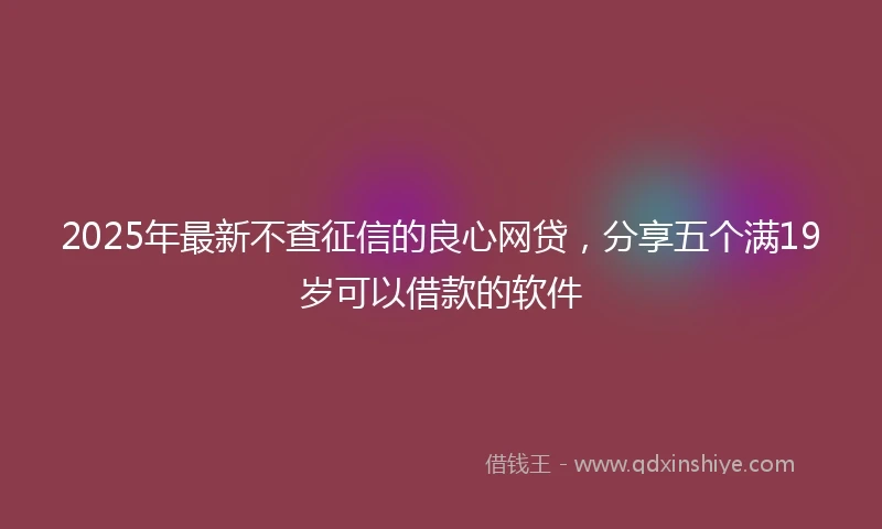 2025年最新不查征信的良心网贷，分享五个满19岁可以借款的软件