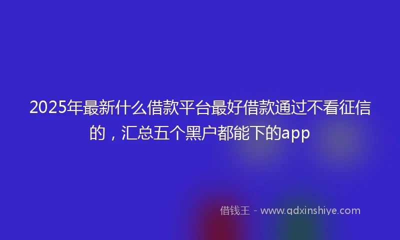 2025年最新什么借款平台最好借款通过不看征信的，汇总五个黑户都能下的app