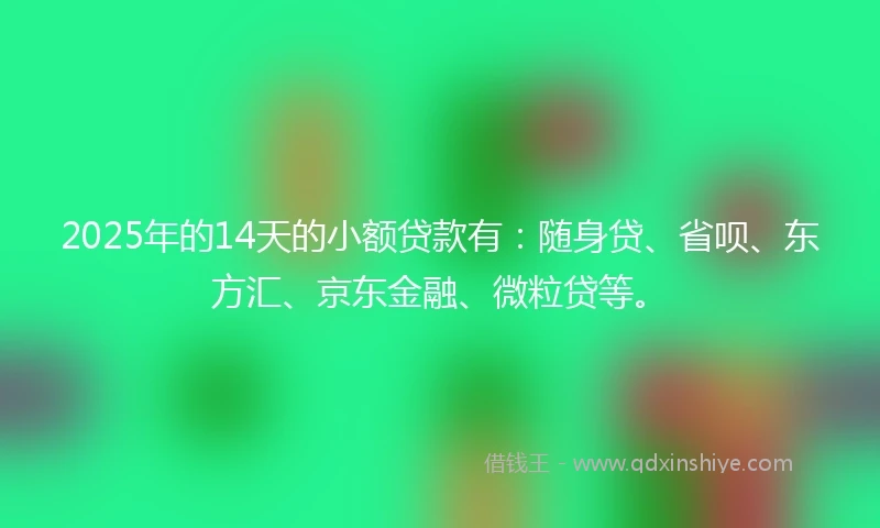 2025年的14天的小额贷款有：随身贷、省呗、东方汇、京东金融、微粒贷等。