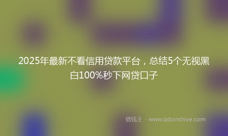 2025年最新不看信用贷款平台，总结5个无视黑白100%秒下网贷口子