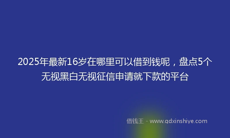 2025年最新16岁在哪里可以借到钱呢，盘点5个无视黑白无视征信申请就下款的平台