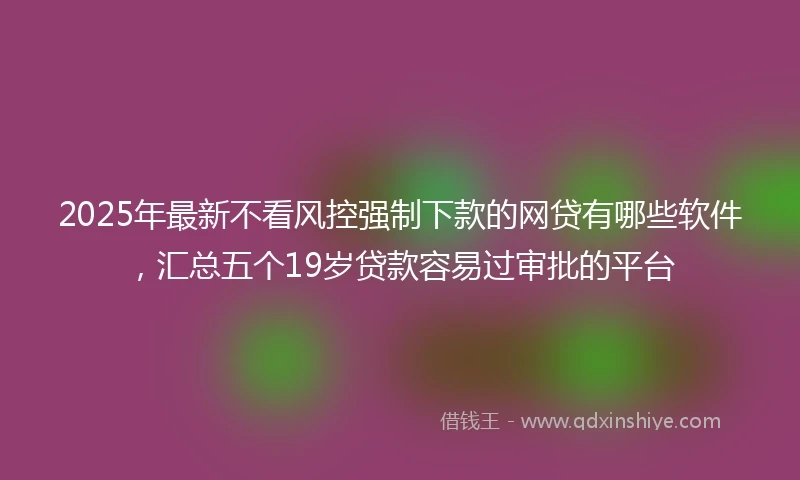 2025年最新不看风控强制下款的网贷有哪些软件，汇总五个19岁贷款容易过审批的平台