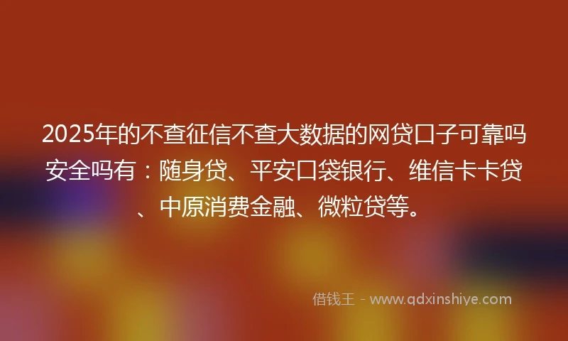2025年的不查征信不查大数据的网贷口子可靠吗安全吗有：随身贷、平安口袋银行、维信卡卡贷、中原消费金融、微粒贷等。