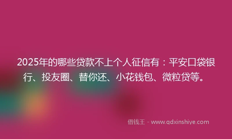 2025年的哪些贷款不上个人征信有：平安口袋银行、投友圈、替你还、小花钱包、微粒贷等。
