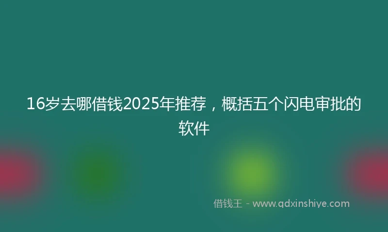 16岁去哪借钱2025年推荐，概括五个闪电审批的软件