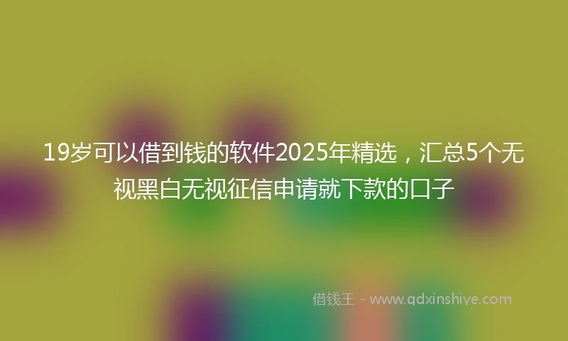 19岁可以借到钱的软件2025年精选，汇总5个无视黑白无视征信申请就下款的口子