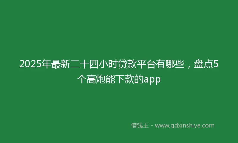 2025年最新二十四小时贷款平台有哪些，盘点5个高炮能下款的app