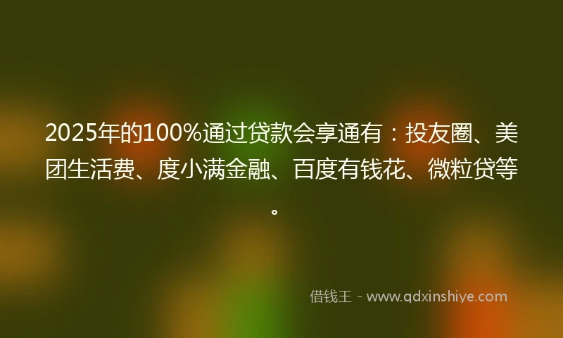 2025年的100%通过贷款会享通有：投友圈、美团生活费、度小满金融、百度有钱花、微粒贷等。
