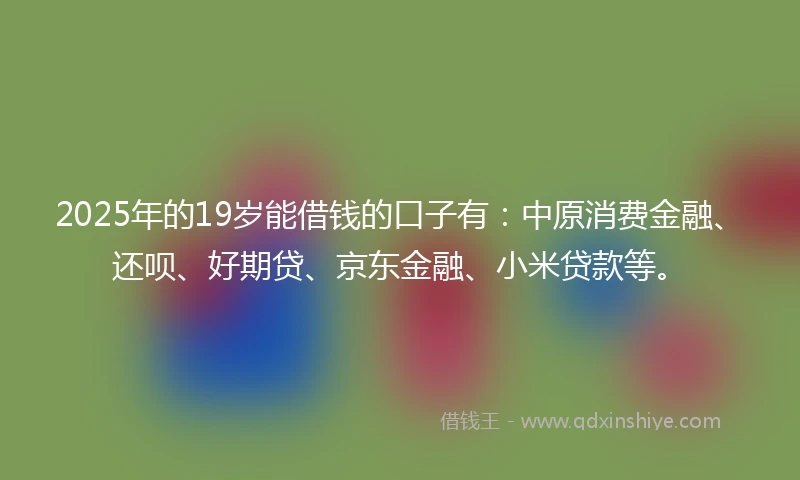 2025年的19岁能借钱的口子有：中原消费金融、还呗、好期贷、京东金融、小米贷款等。