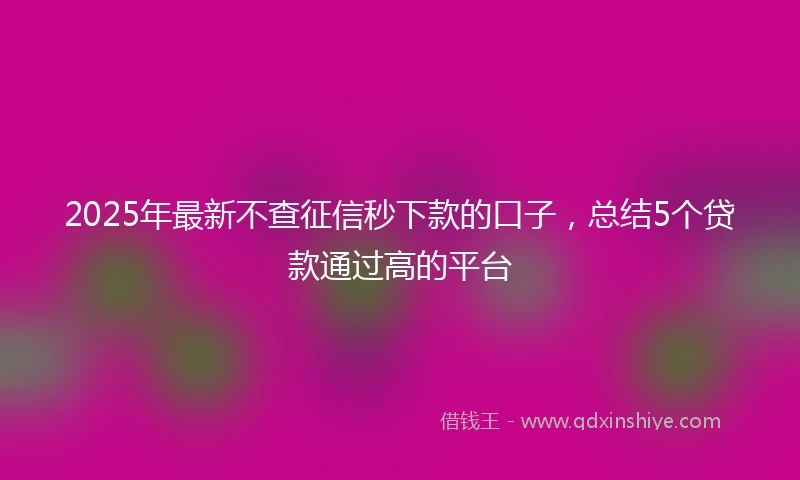 2025年最新不查征信秒下款的口子，总结5个贷款通过高的平台