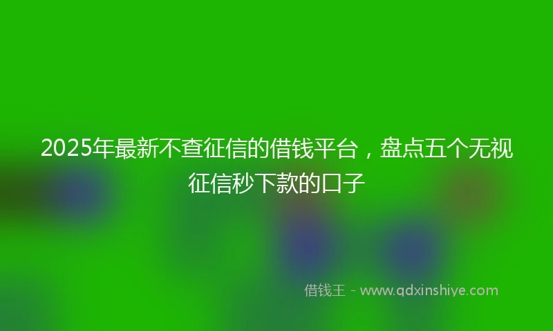 2025年最新不查征信的借钱平台，盘点五个无视征信秒下款的口子
