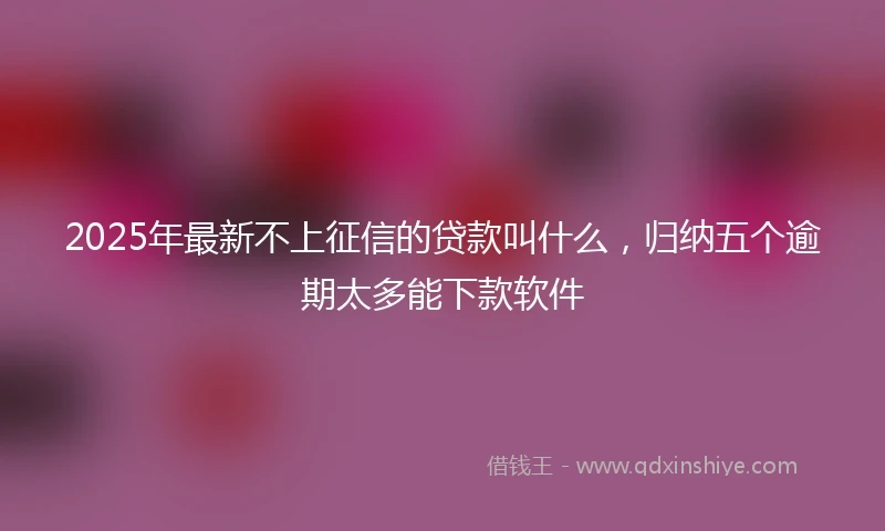 2025年最新不上征信的贷款叫什么，归纳五个逾期太多能下款软件