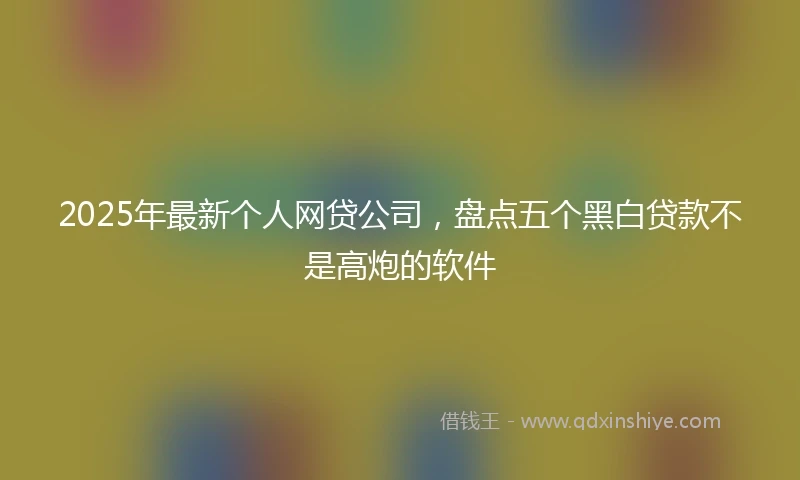 2025年最新个人网贷公司，盘点五个黑白贷款不是高炮的软件