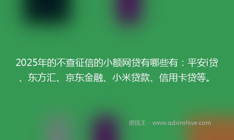 2025年的不查征信的小额网贷有哪些有：平安i贷、东方汇、京东金融、小米贷款、信用卡贷等。
