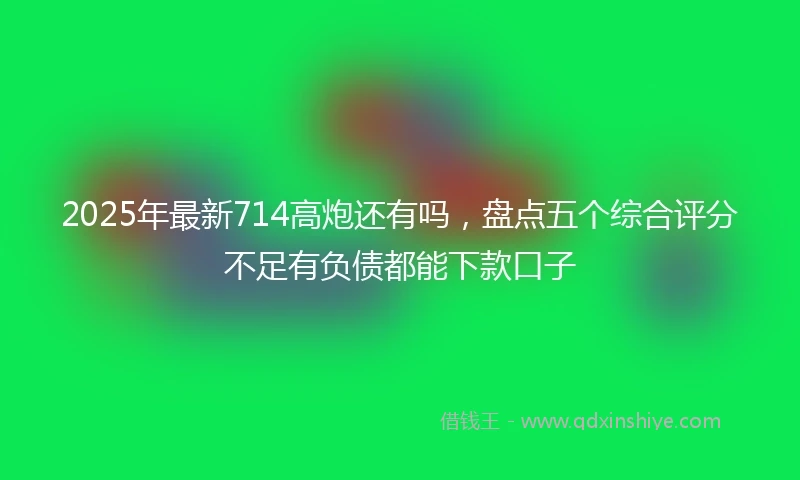 2025年最新714高炮还有吗，盘点五个综合评分不足有负债都能下款口子