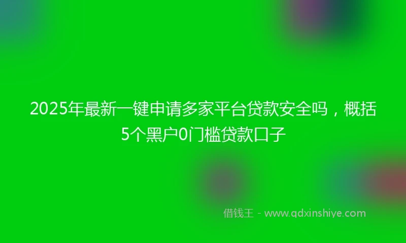 2025年最新一键申请多家平台贷款安全吗，概括5个黑户0门槛贷款口子