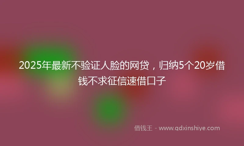 2025年最新不验证人脸的网贷，归纳5个20岁借钱不求征信速借口子