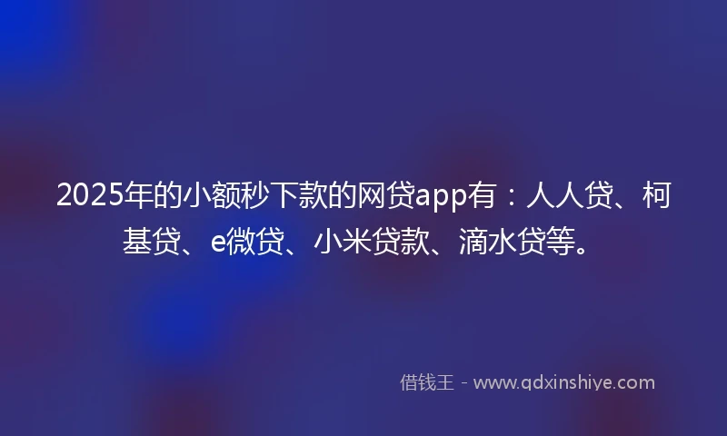 2025年的小额秒下款的网贷app有：人人贷、柯基贷、e微贷、小米贷款、滴水贷等。