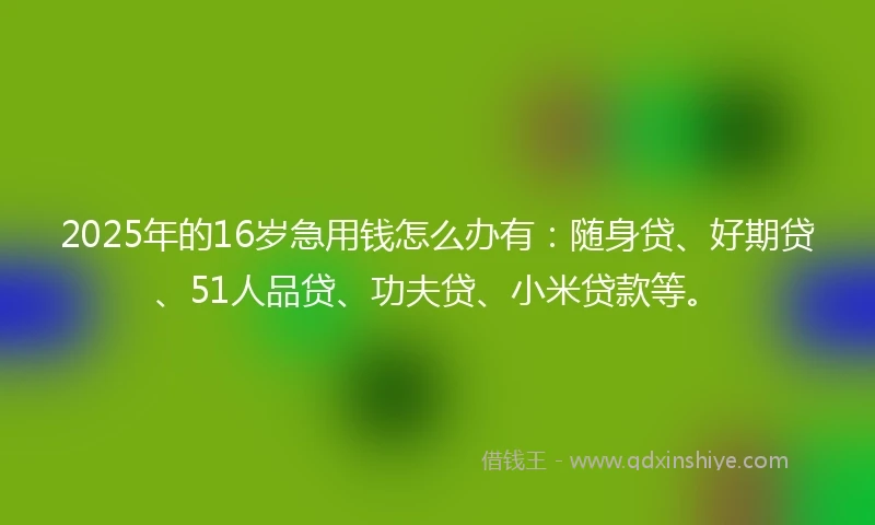 2025年的16岁急用钱怎么办有：随身贷、好期贷、51人品贷、功夫贷、小米贷款等。